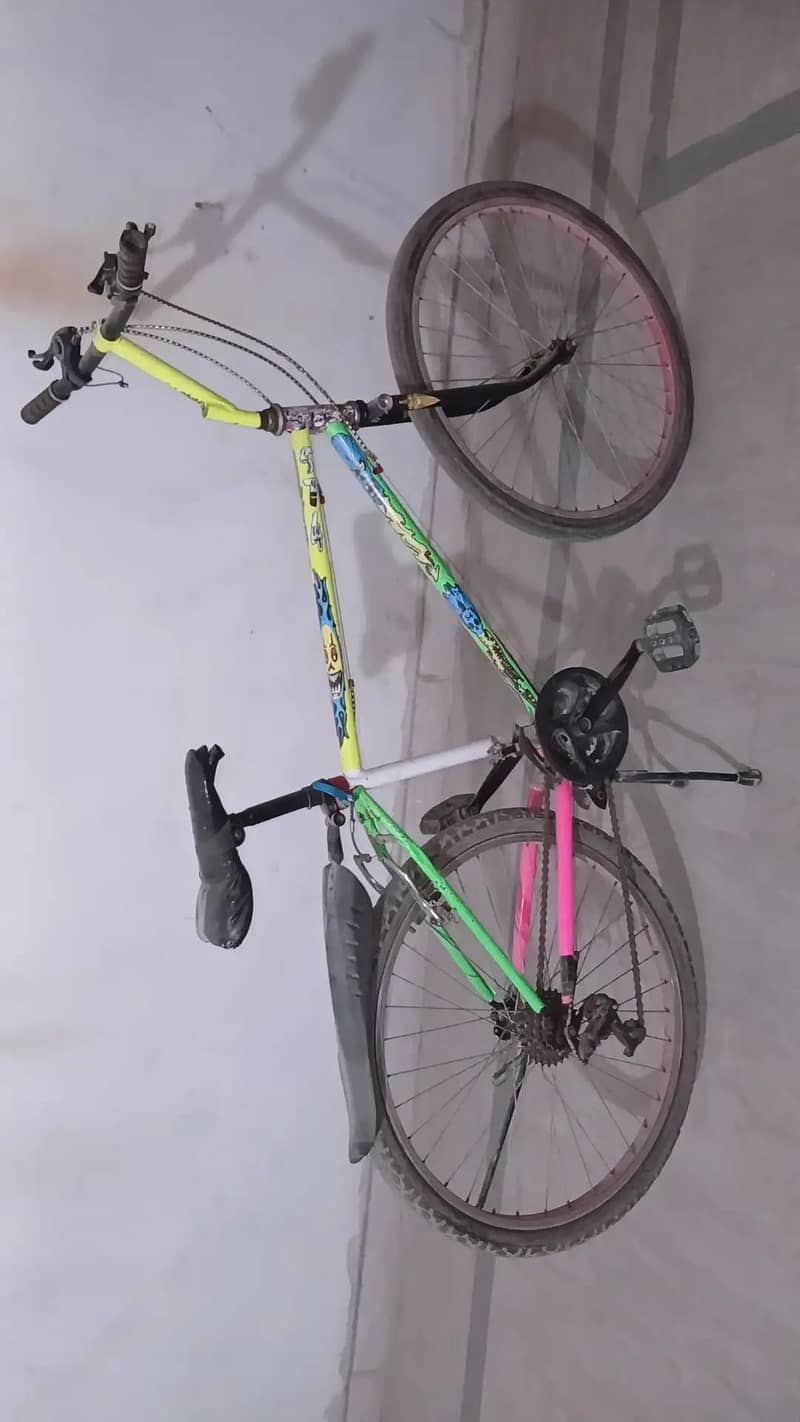 cicycle 1