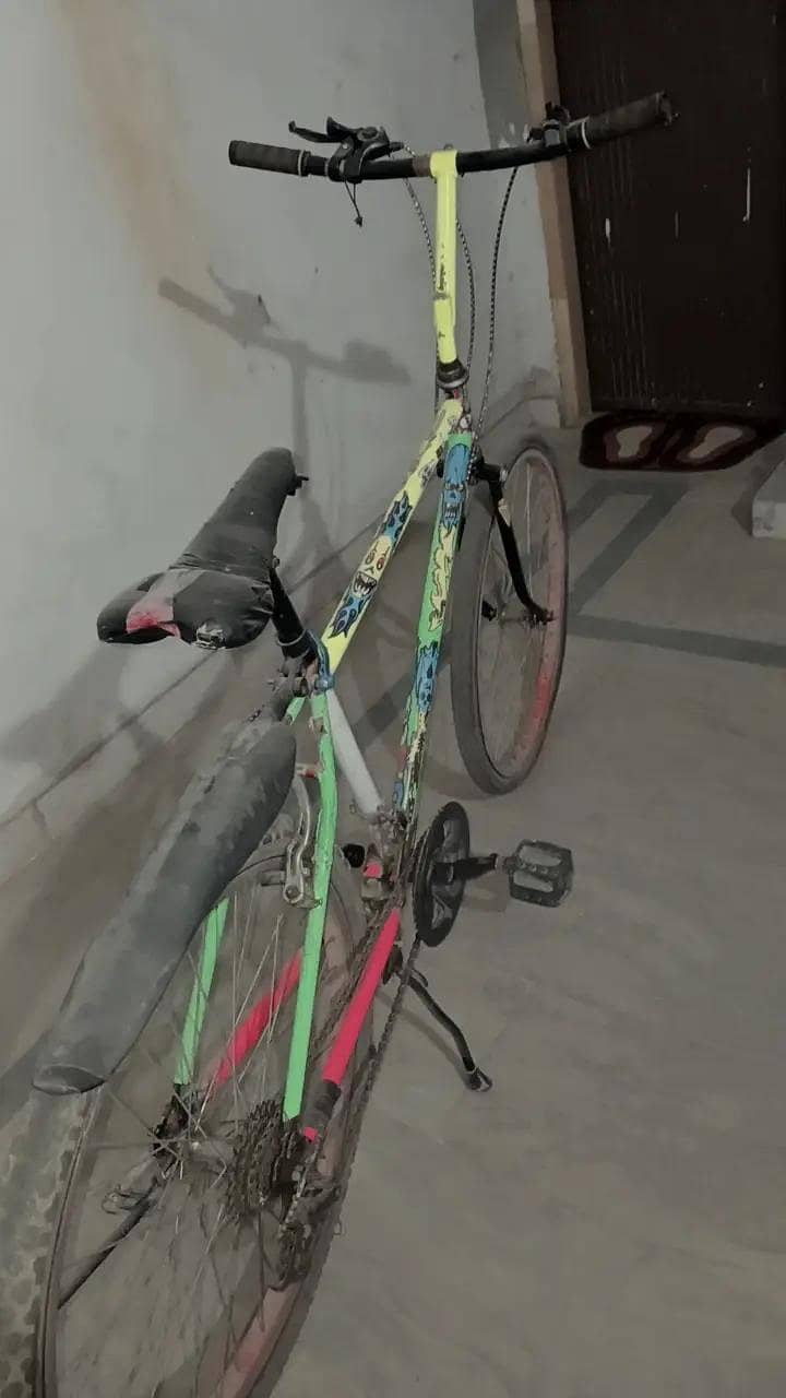 cicycle 2
