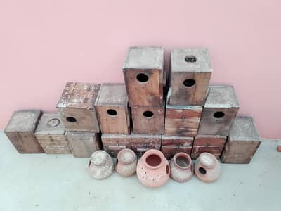 love birds Kekar box