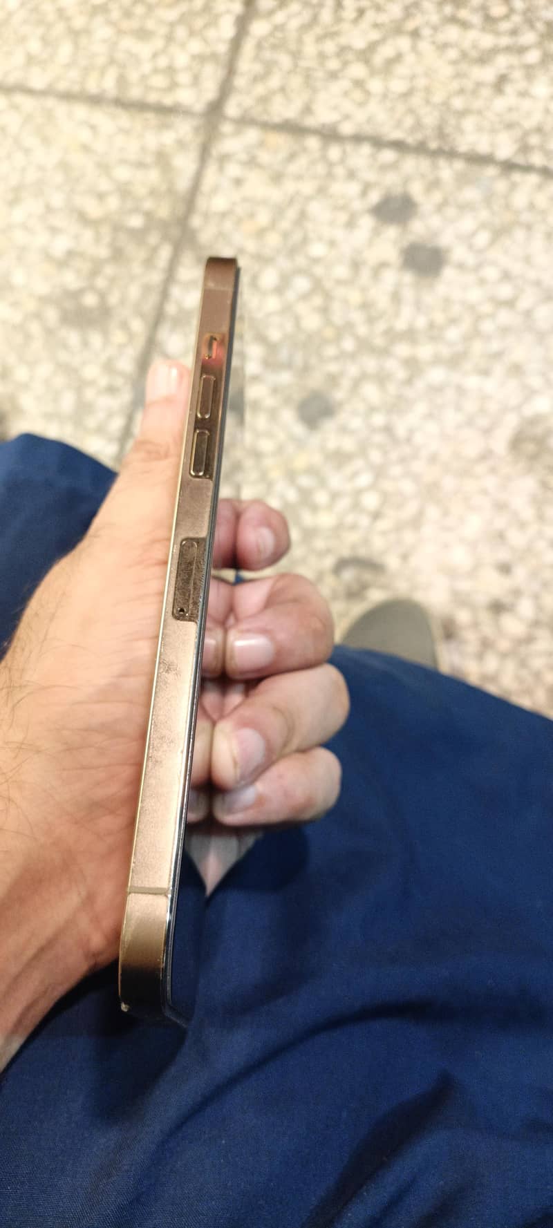 Apple iPhone 12 Pro Max 1