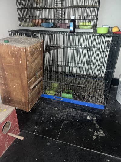 Bird cage