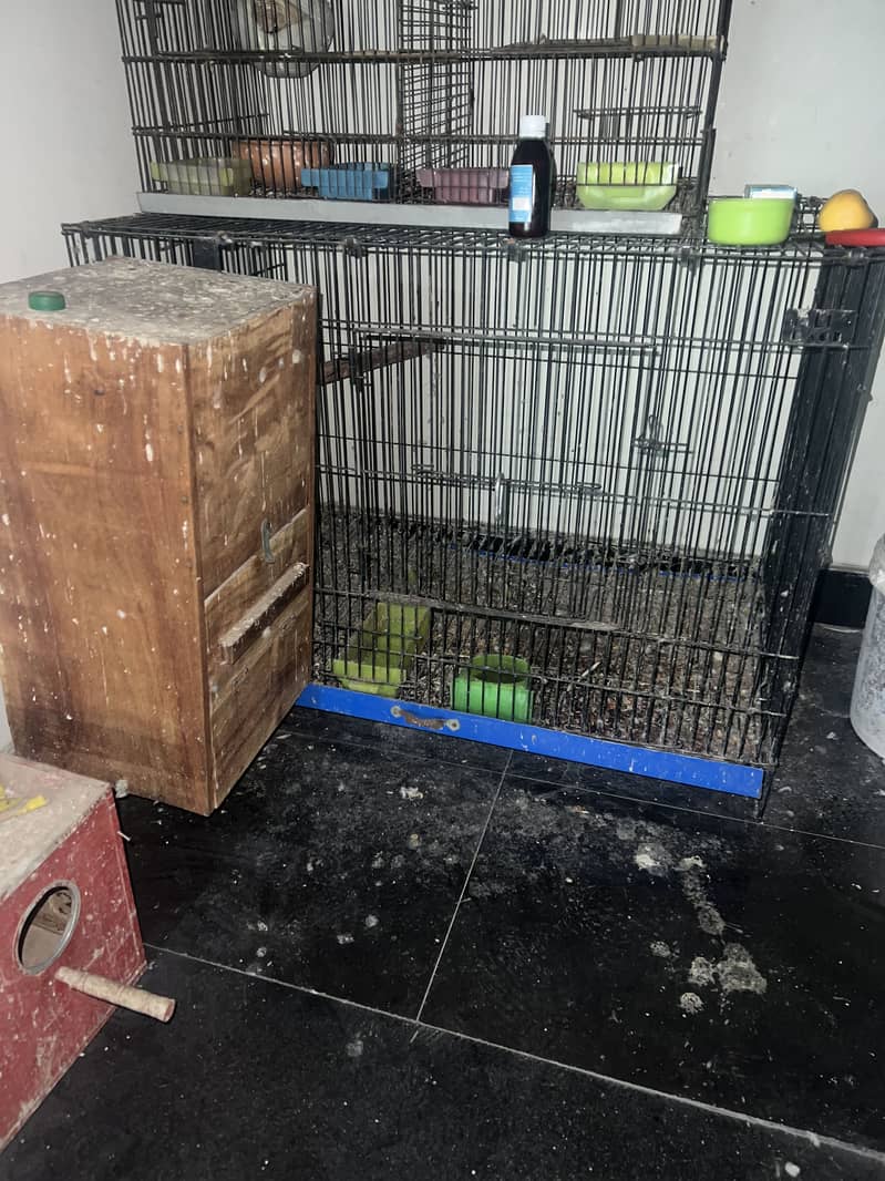 Bird cage 0