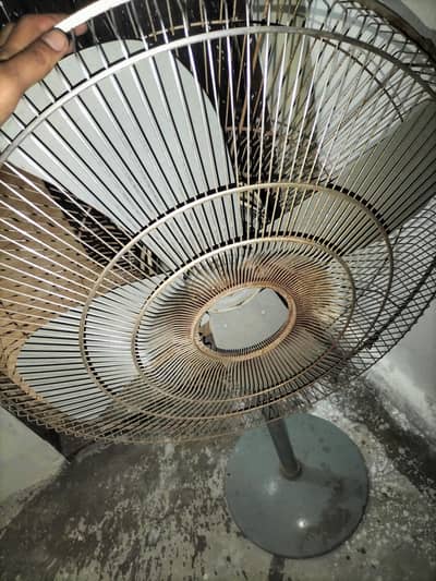 Stand Fan