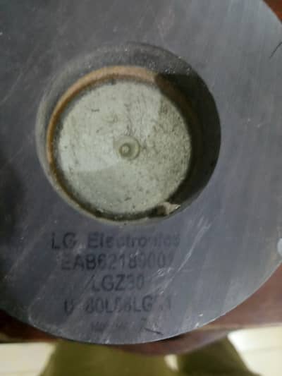 lg original double megnat buffers