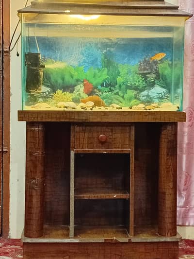 aquariums for sell