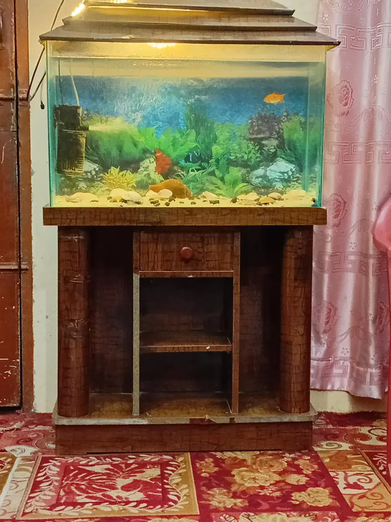 aquariums for sell — photo 2