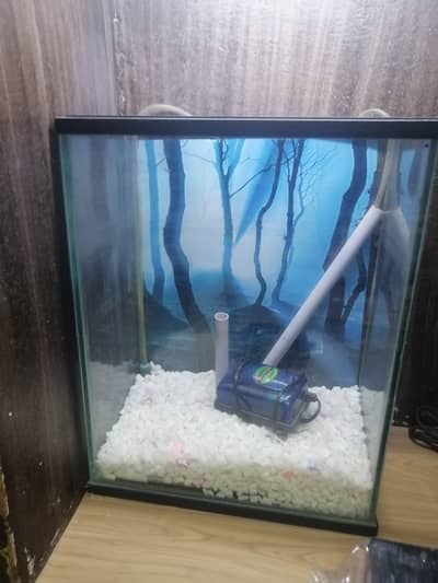 Fish tank urgent with pump