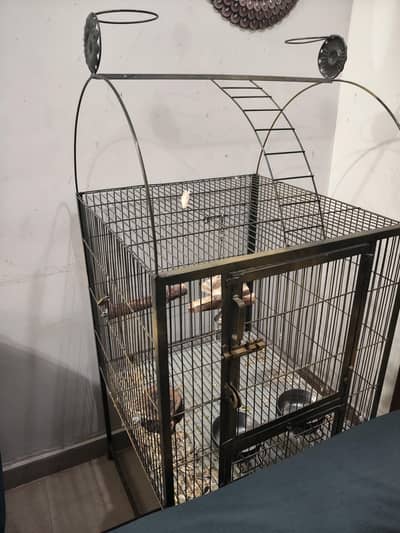 Big Parrot Cage
