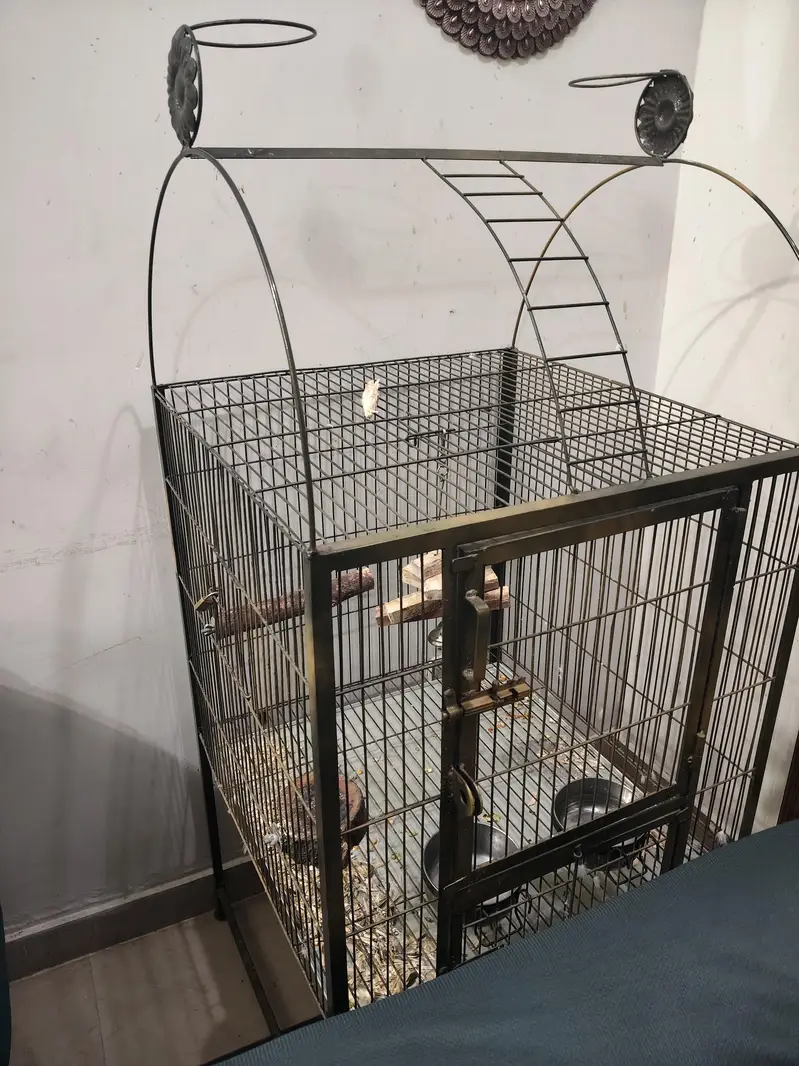 Big Parrot Cage