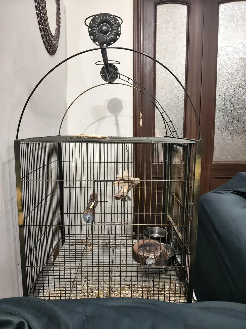 Big Parrot Cage — photo 2