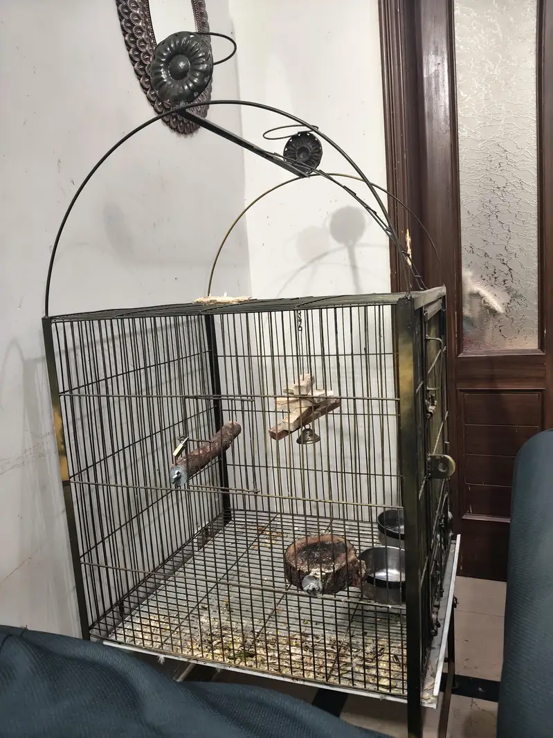 Big Parrot Cage — photo 3