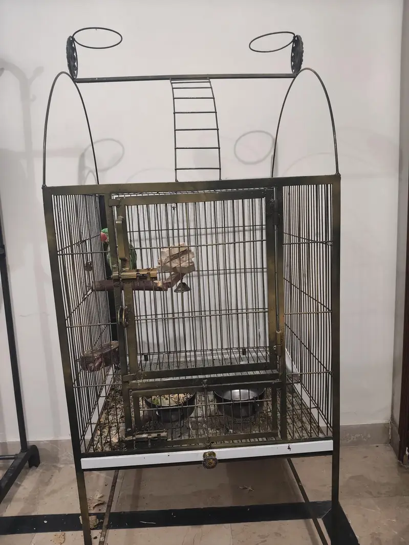 Big Parrot Cage — photo 4