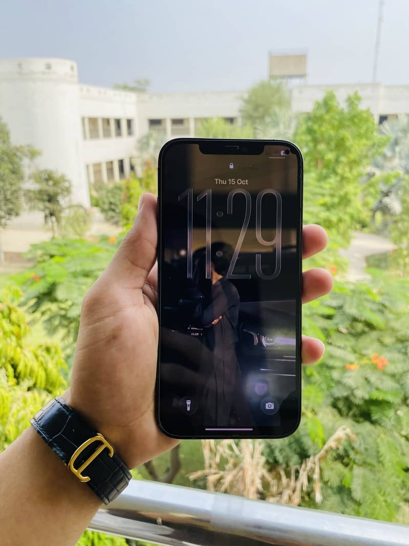 Apple iPhone 12 Pro Max 1