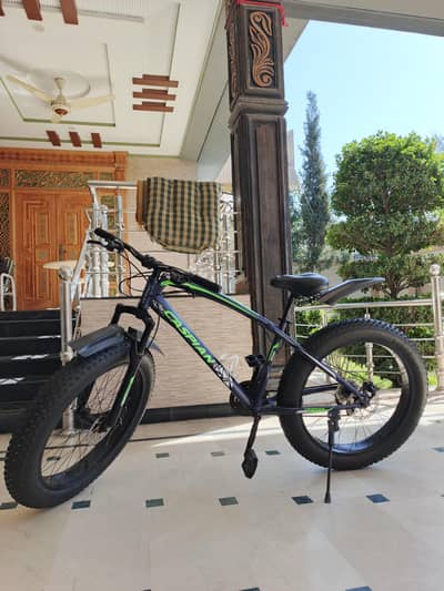 caspian, fat tyres bicycle for sale