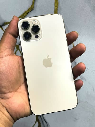 Apple iPhone 12 Pro Max