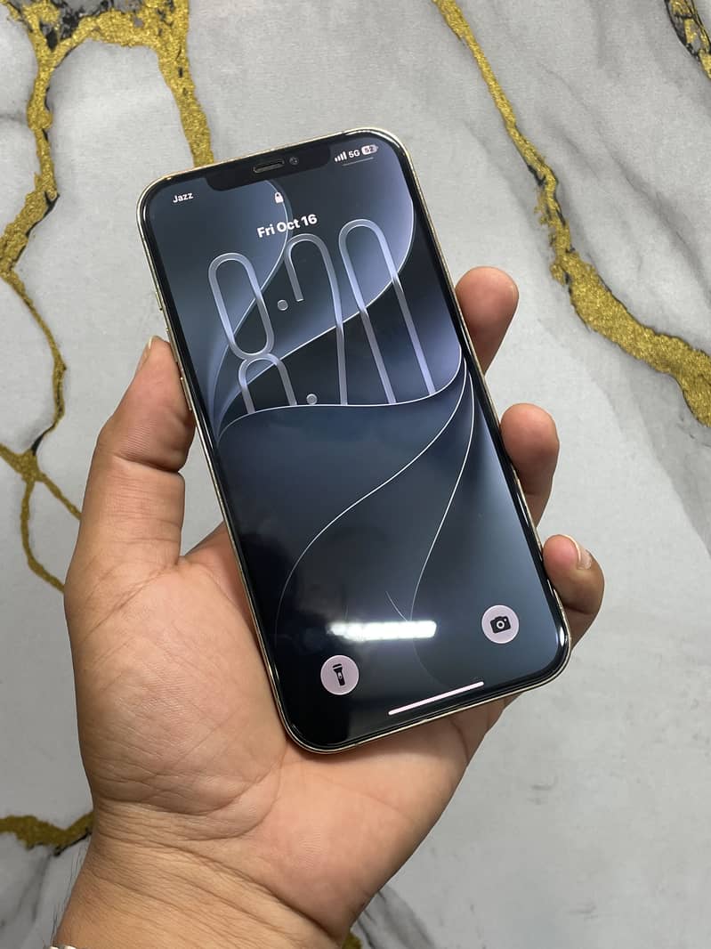 Apple iPhone 12 Pro Max 2