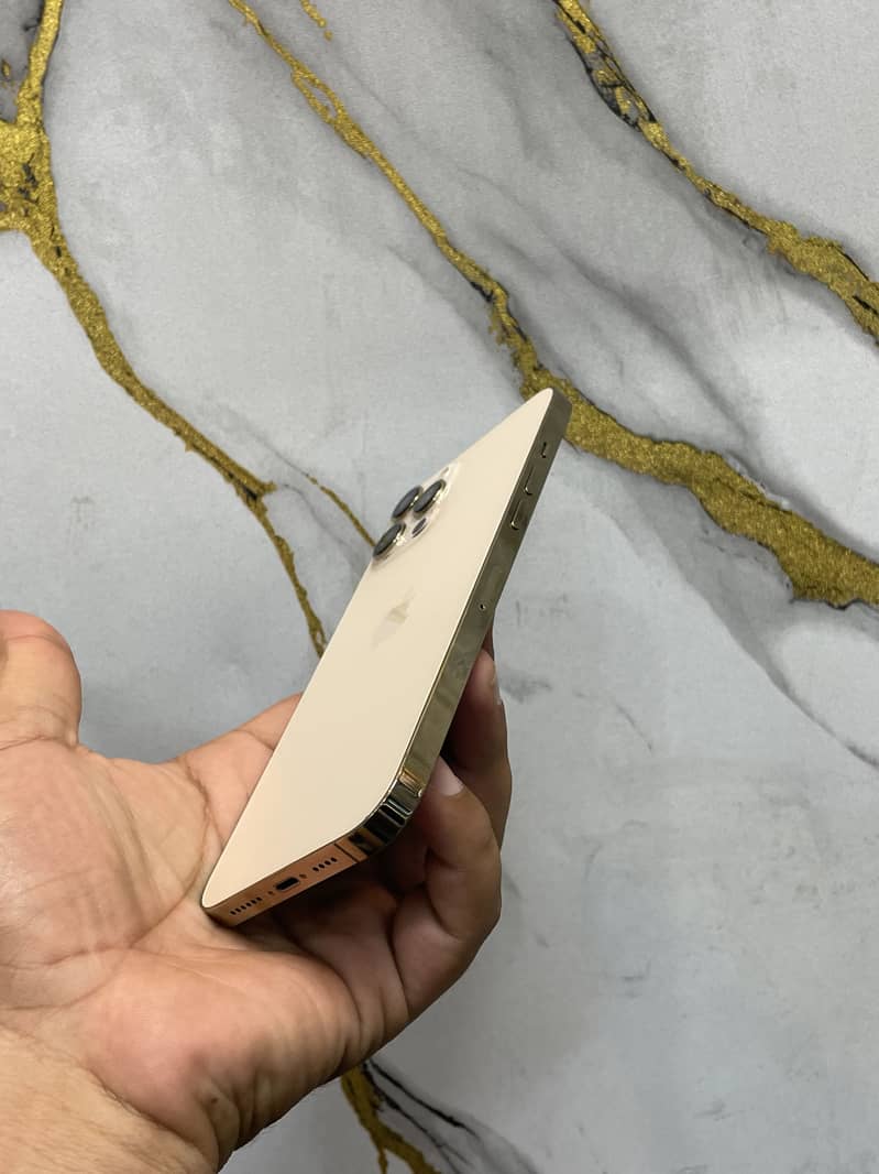 Apple iPhone 12 Pro Max 5