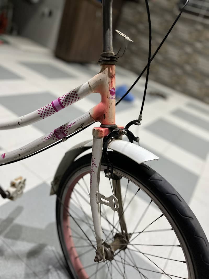 Cycle 6