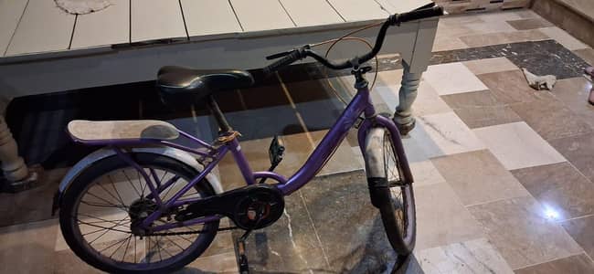 Bicycle