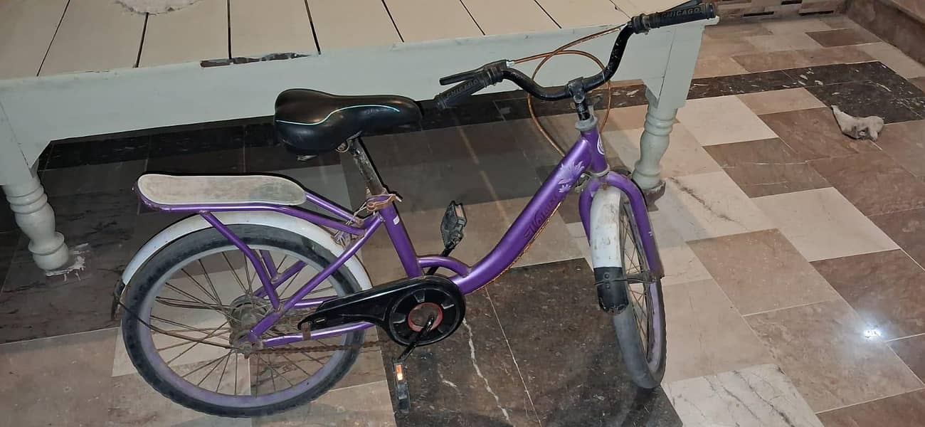 Bicycle 1
