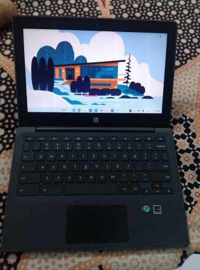 HP Chromebook, Best book type style look.