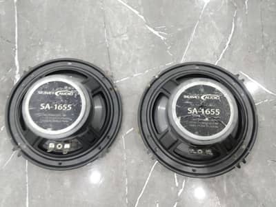 ​Seavey Audio SA-1655 Speakers – 650W Peak