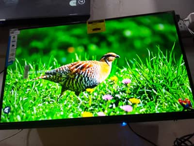 lED and LCd is available