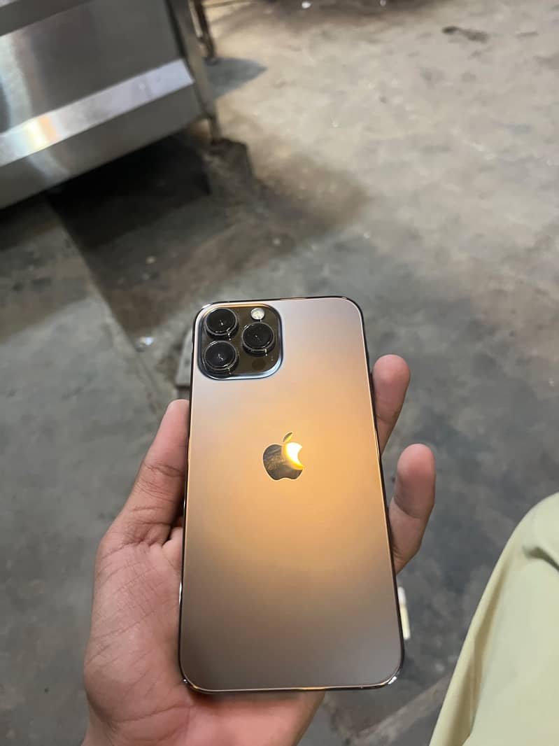 Apple iPhone 13 Pro Max 1