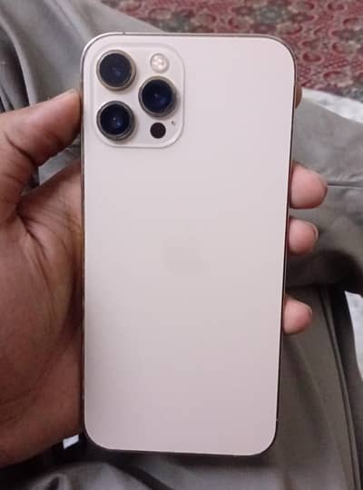 Apple iPhone 12 Pro Max