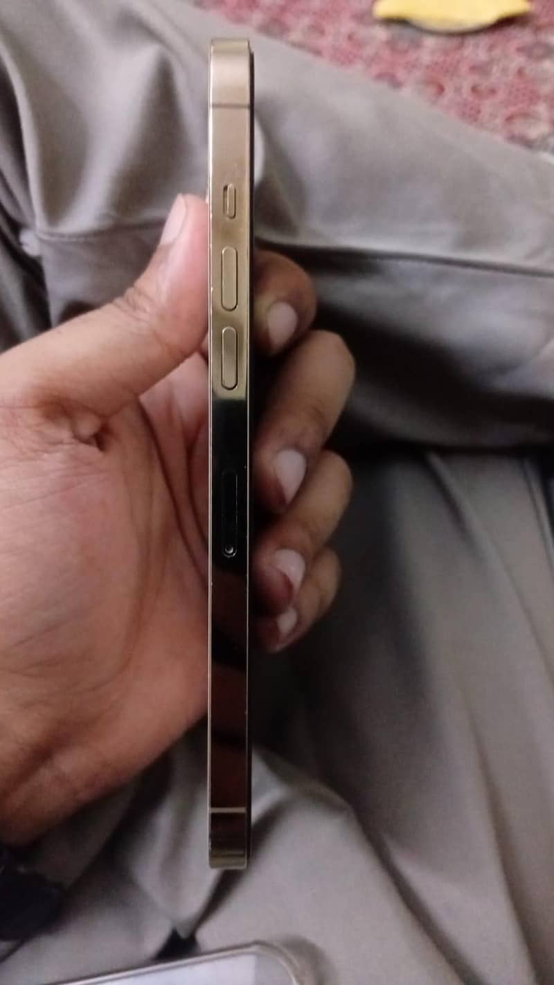 Apple iPhone 12 Pro Max 6