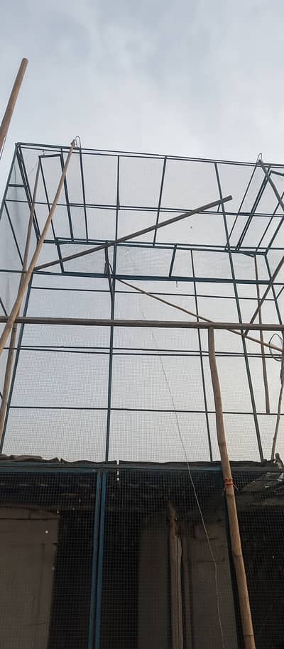 12x12 (Feet) - pigeon cage/jall very species for pigeon