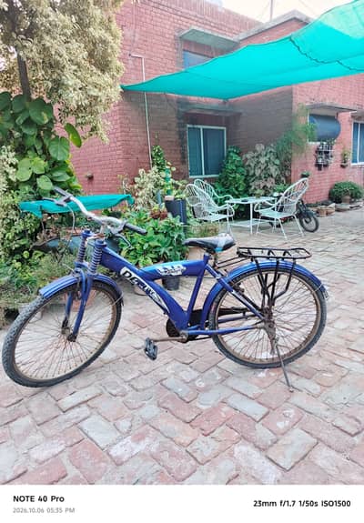 Deluxe cycle full 26 size