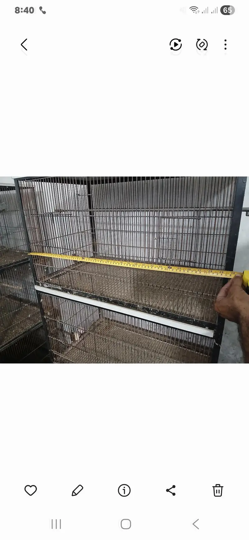 6 month user parrot cage — photo 5