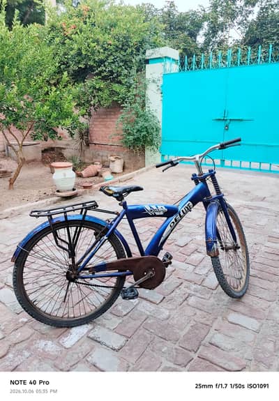 Deluxe cycle full 26 size