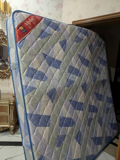 Mast molty foam Spring mattress