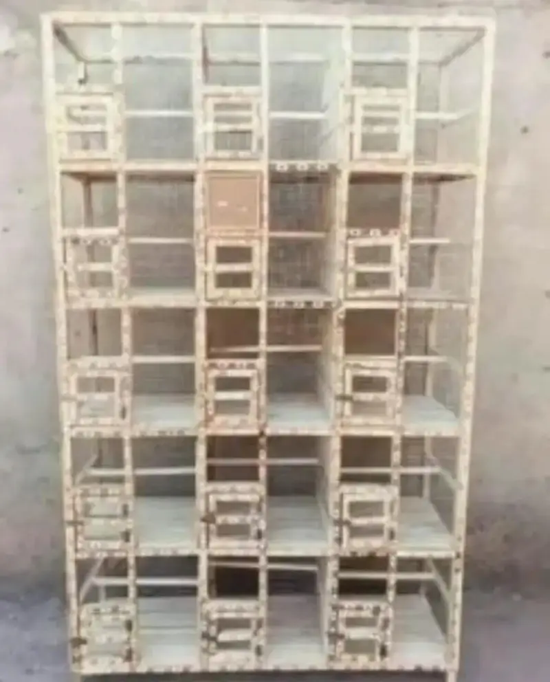 cages forsale — photo 12