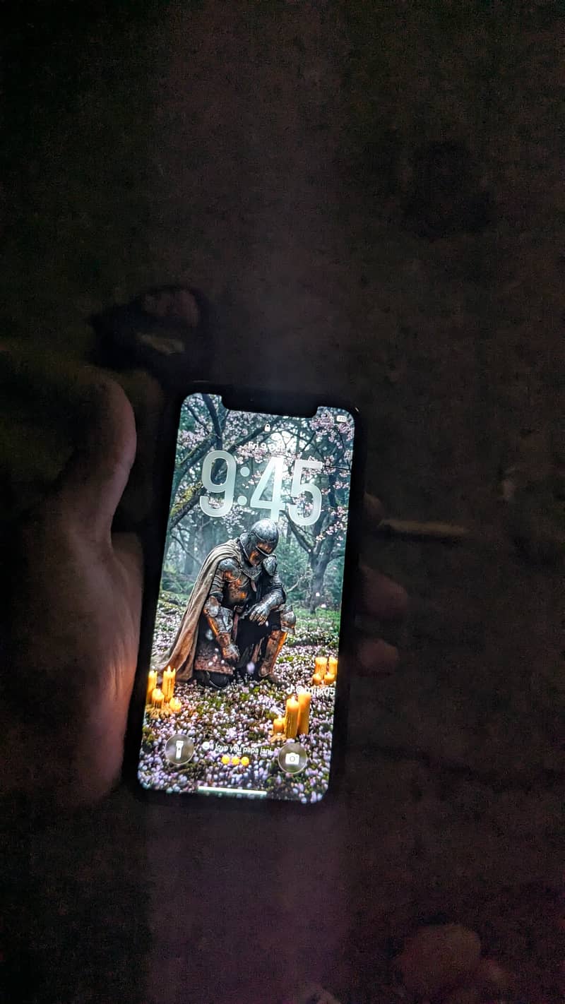 Apple iPhone 11 0