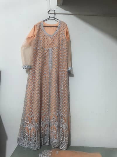 maxy new