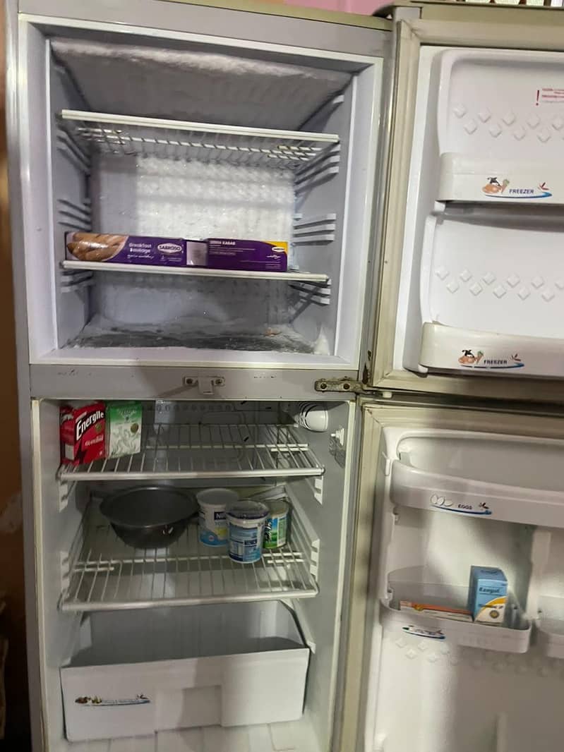 Fridge 1