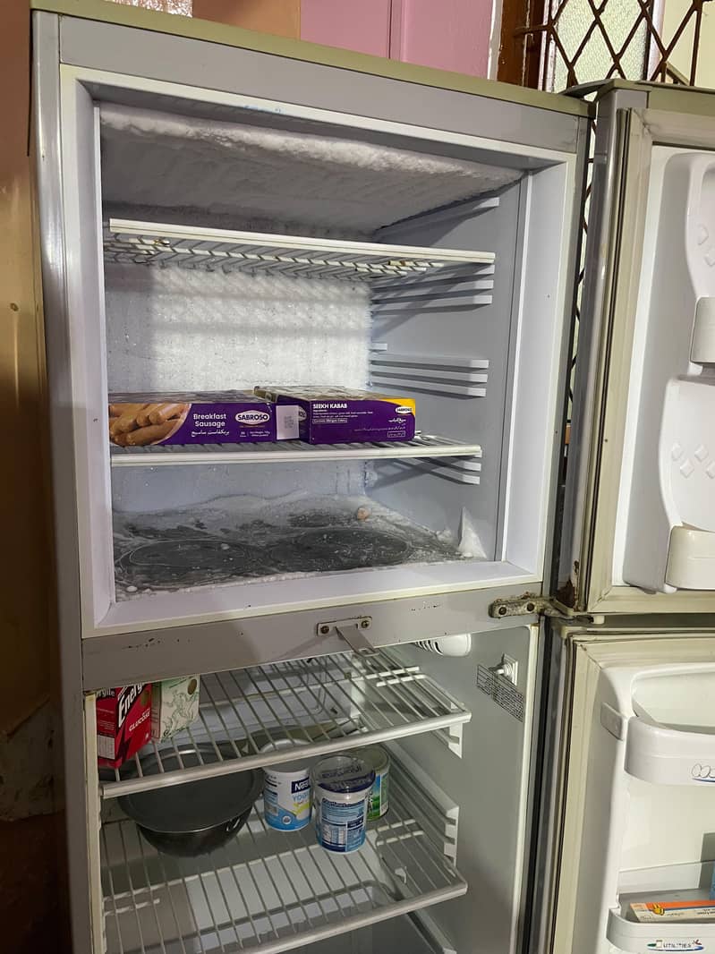 Fridge 6