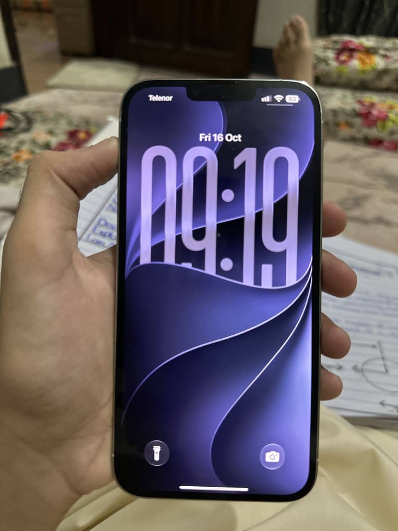 Apple iPhone 13 Pro Max 2