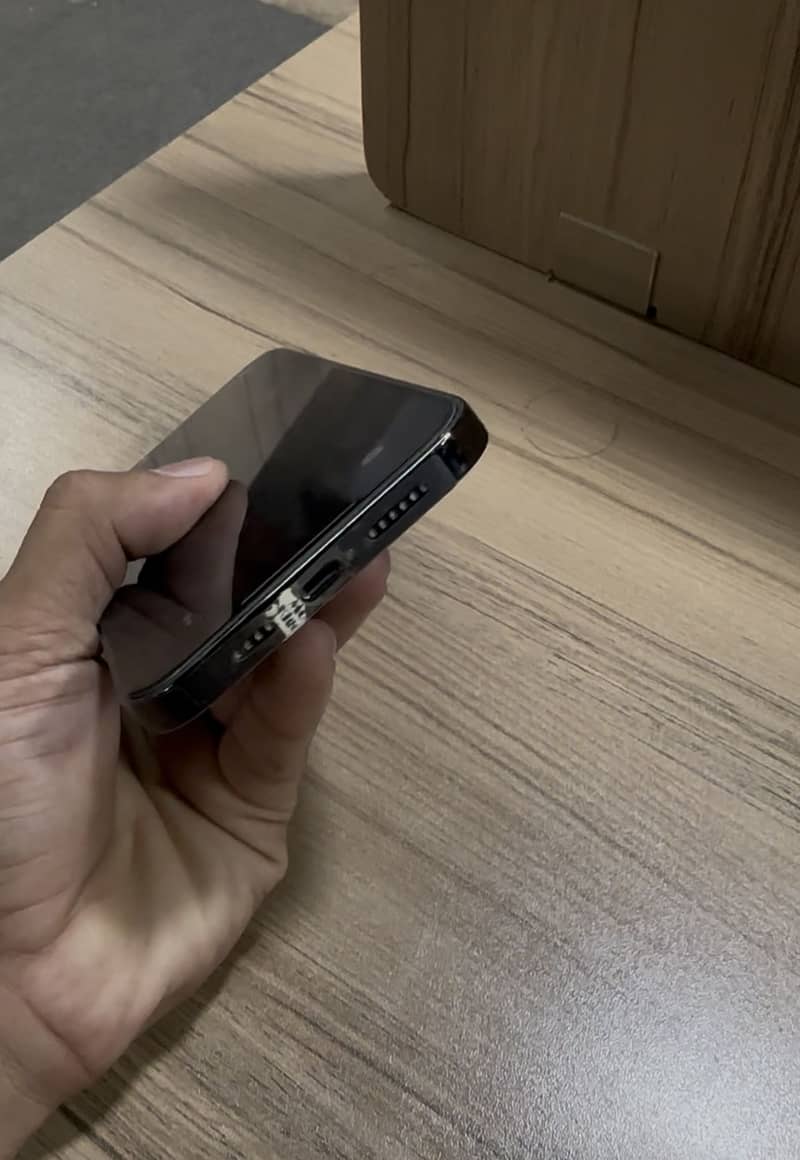 Apple iPhone 13 Pro Max 3