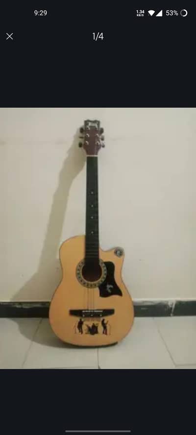 Tervis italian guitar best for beginners
