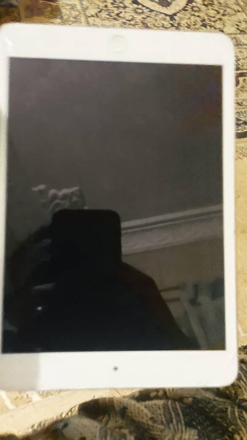 ipad mine 2 4