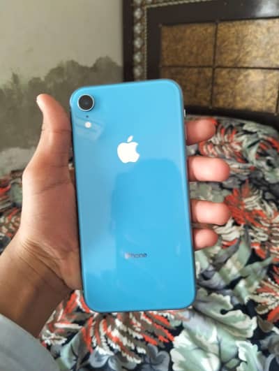 iPhone XR