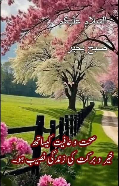 khansaman ki zarooat hy