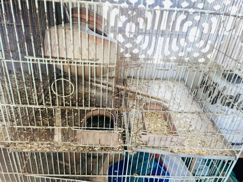12 portion cage — photo 3