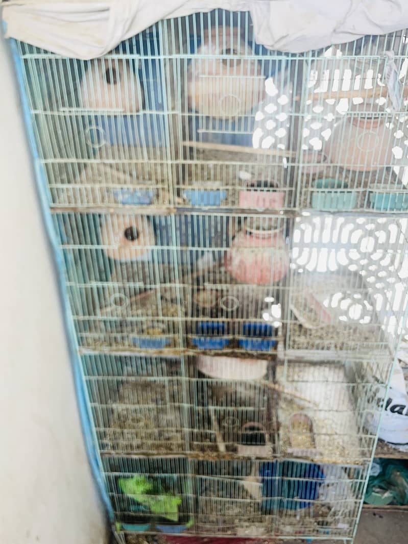 12 portion cage 4