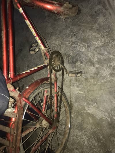 Eagle cycle for sale