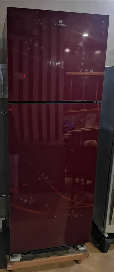 Electrolus Refrigerator Fridge